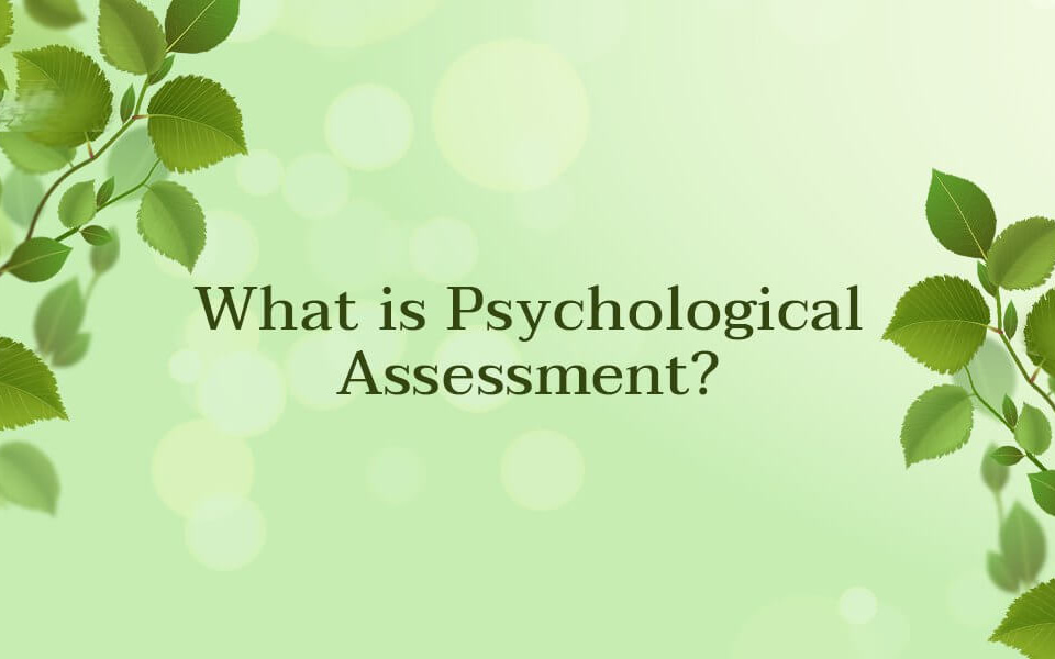 What-is-Psychological-Assessment