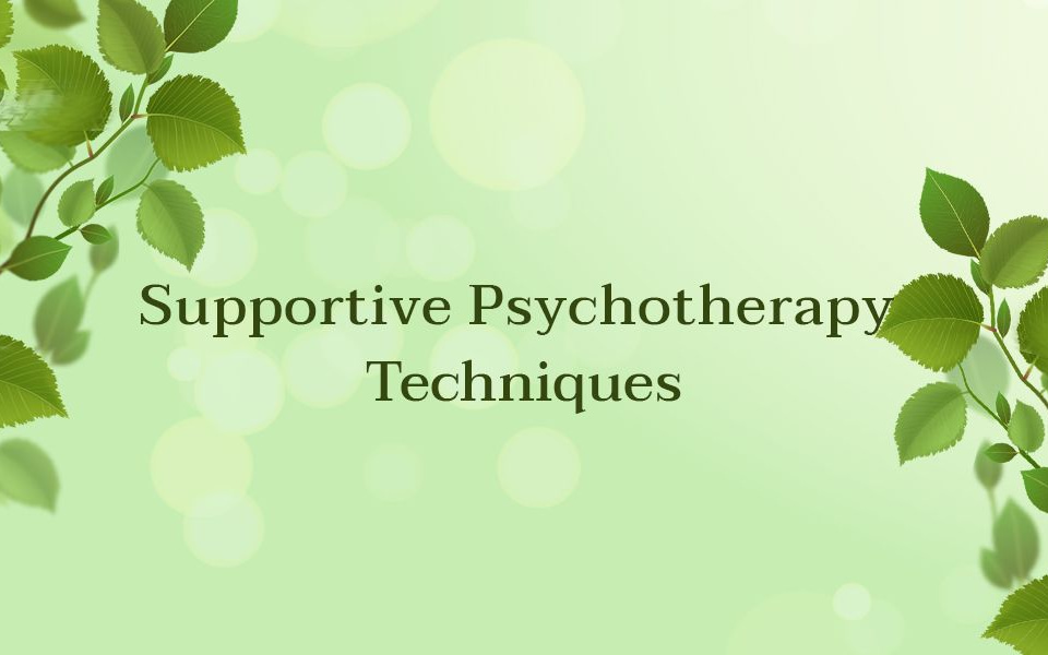 supportive psychotherapy and techniques