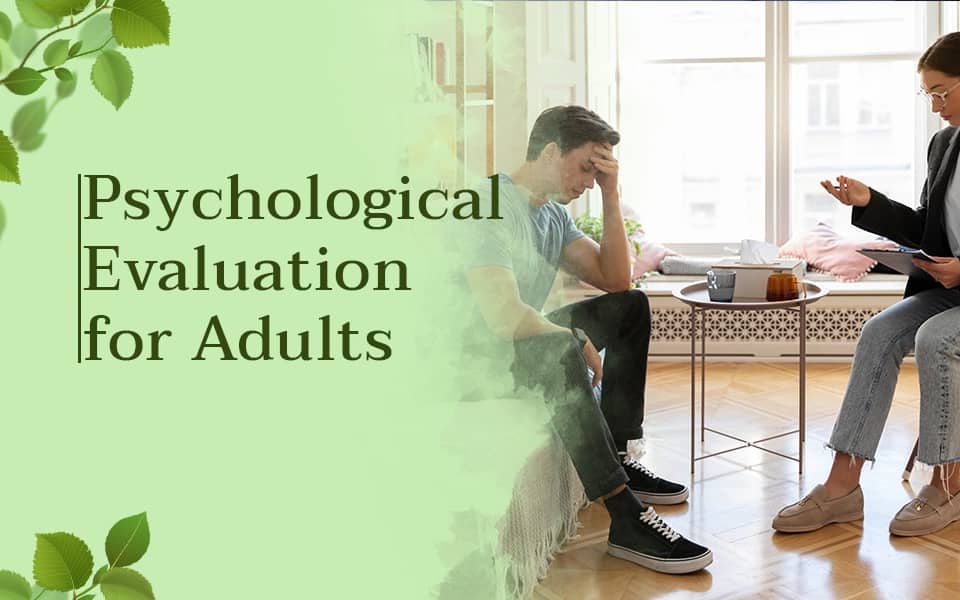 Psychological Evaluation for Adults