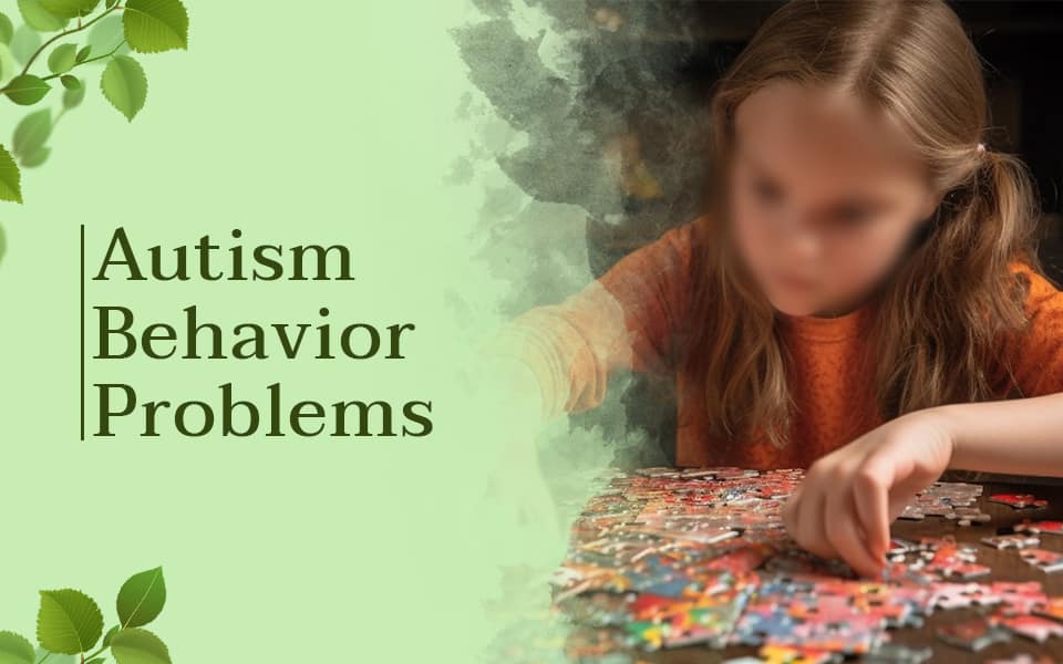 Autism Behavior Problems